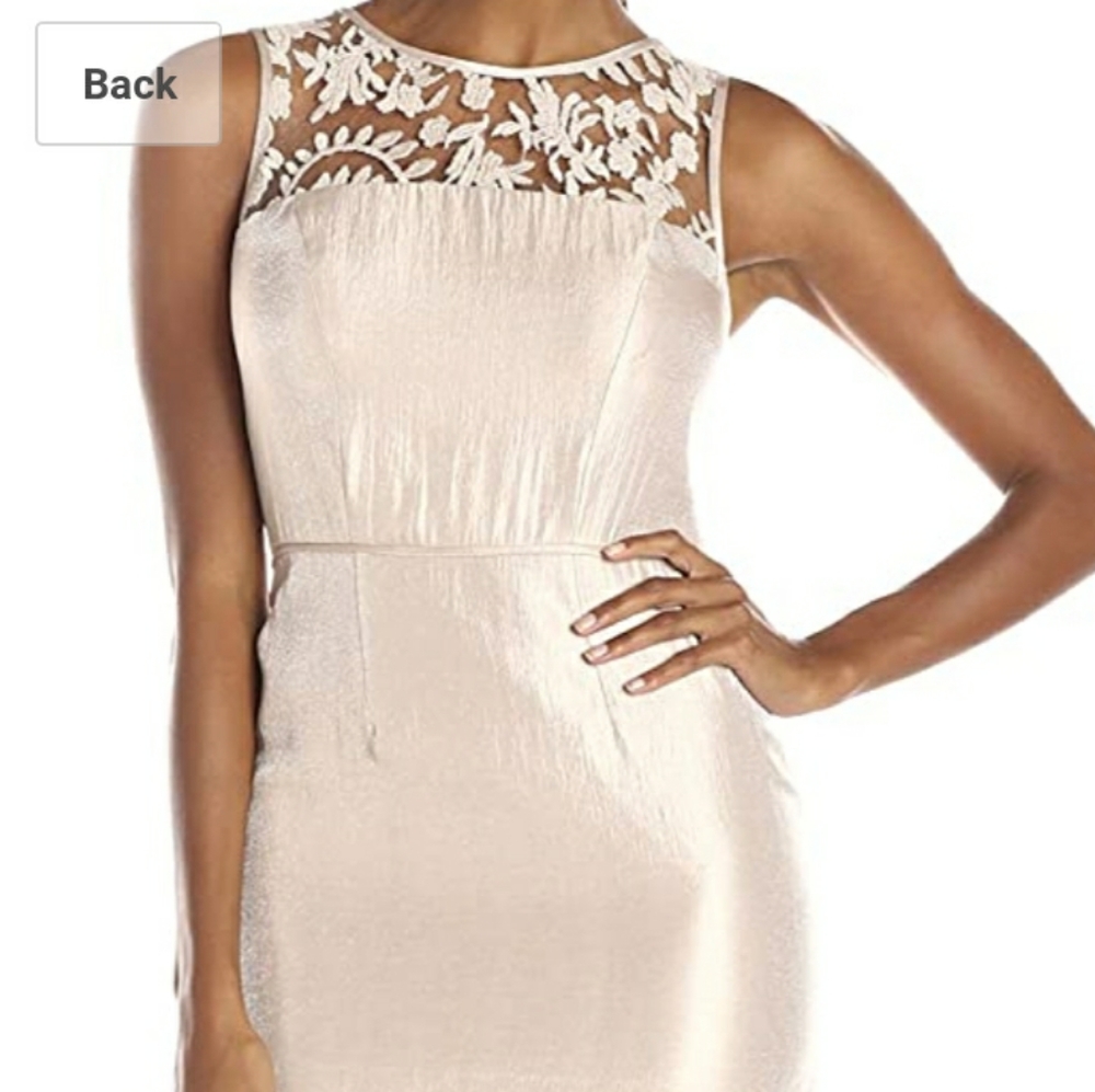 Adrianna Papell Dress